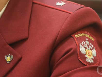 Волгоградцы продолжают жаловаться на антисанитарию