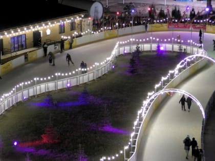 Волгоградская молодежь отмечает День студента на балах, катках и концертах