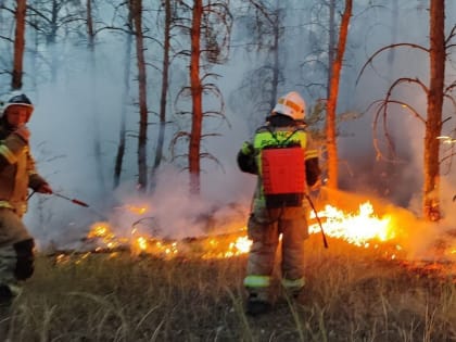 Пожар в Городищенском районе локализован