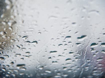 В Волгоградской области 3 января ожидается дождь при +11 градусах