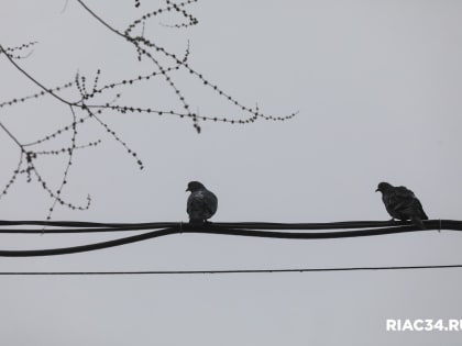 25 апреля обесточат три района Волгограда