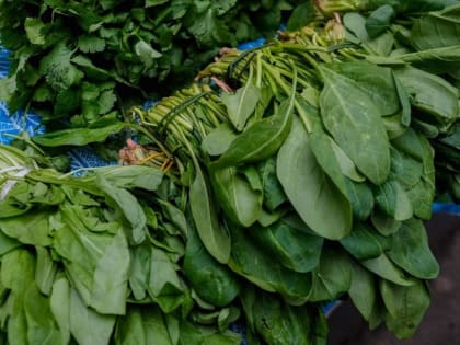 Названы четыре продукта, которые нужно есть для поддержания здоровья