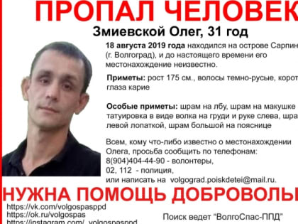 В Волгограде на острове Сарпинский бесследно исчез мужчина со шрамами