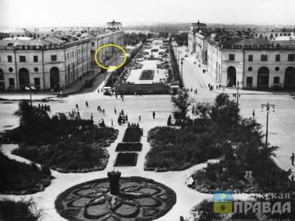 Волжане проголосуют за видовой состав деревьев на Фонтанке