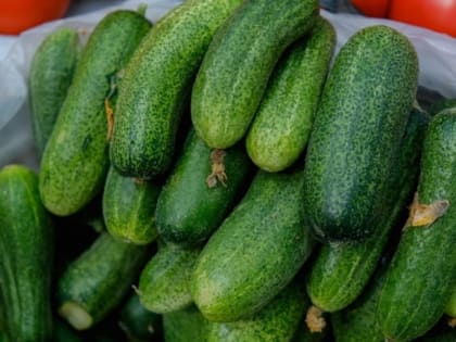 В волгоградские магазины поступило 1,3 тыс. тонн местных томатов и огурцов