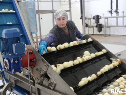 В регионе посчитали работников малых предприятий