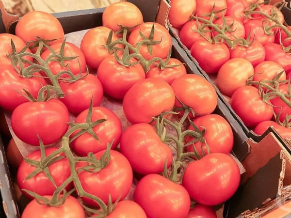 1,3 тысячи тонн овощей поставили в магазины Волгоградской области