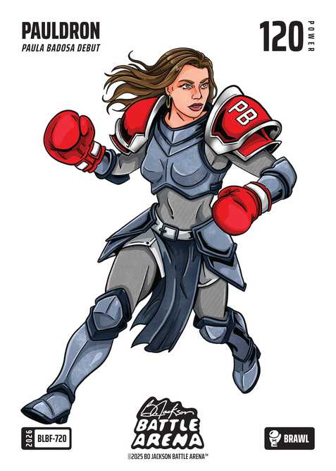 Brawl Blizzard