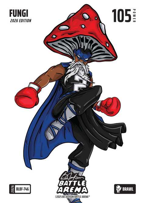 Brawl Blizzard