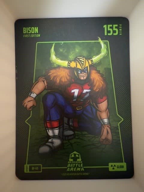 Bison