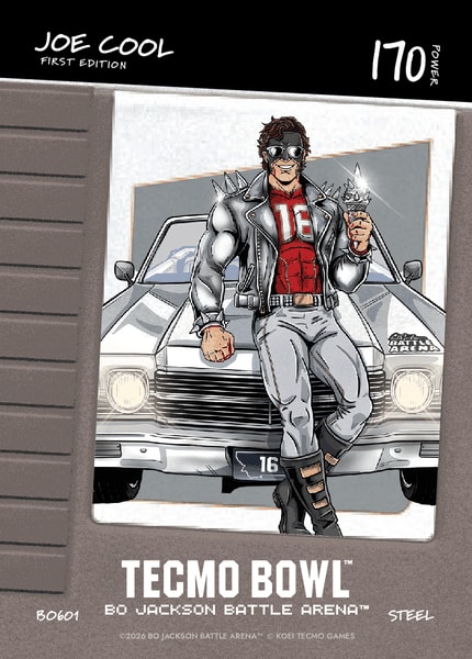 Joe Cool