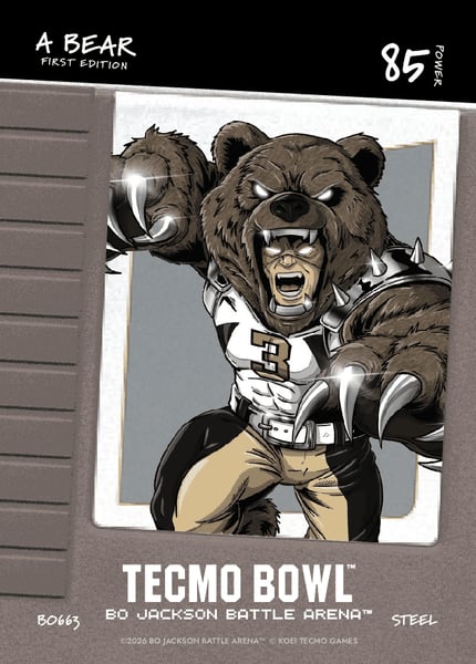 A Bear
