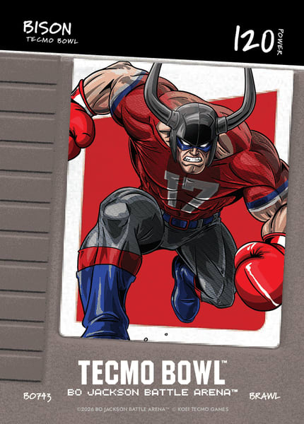 Bison