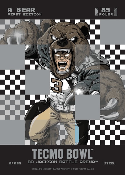 A Bear