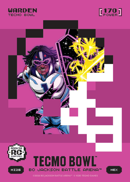 Warden