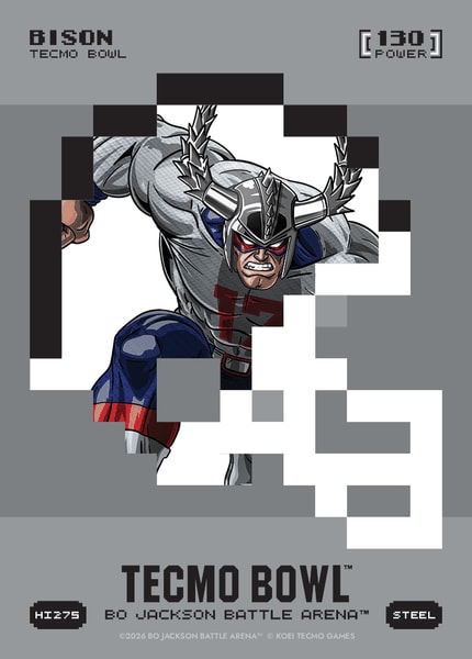 Bison