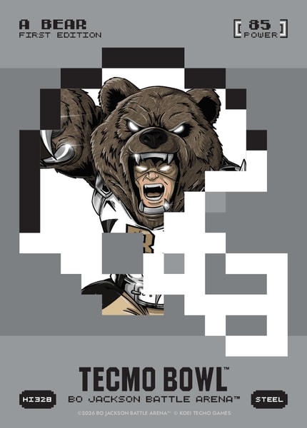 A Bear