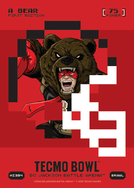 A Bear