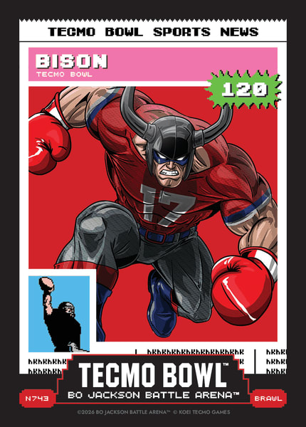 Bison