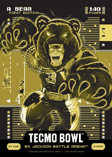 A Bear