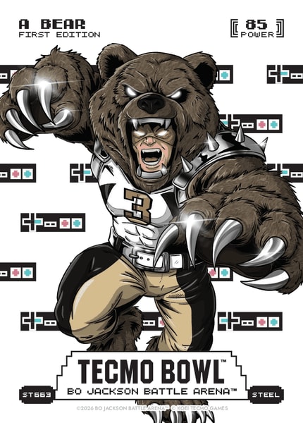 A Bear