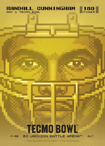 Randall Cunningham