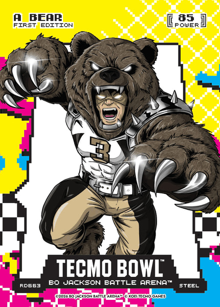 A Bear