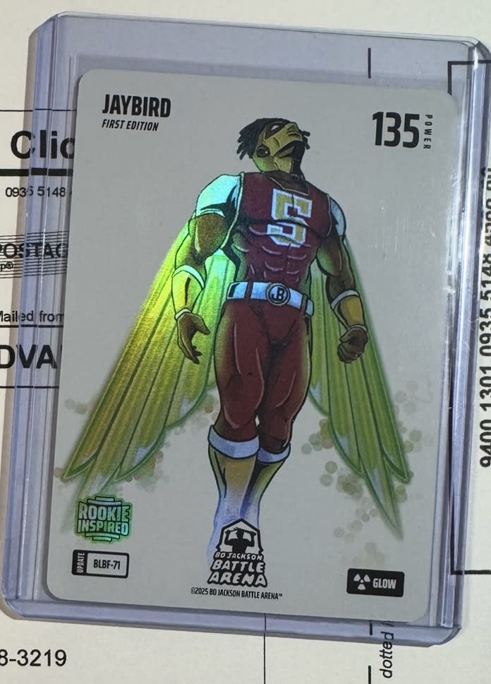 2025 Jaybird Blizzard Glow