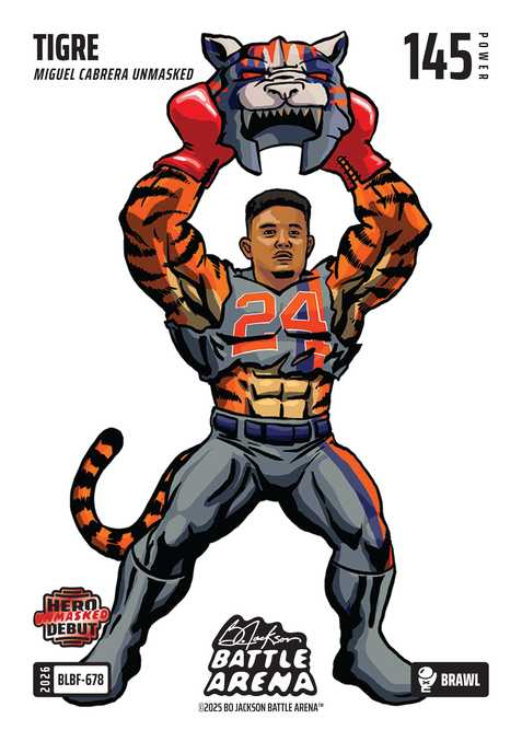 Brawl Blizzard Battlefoil