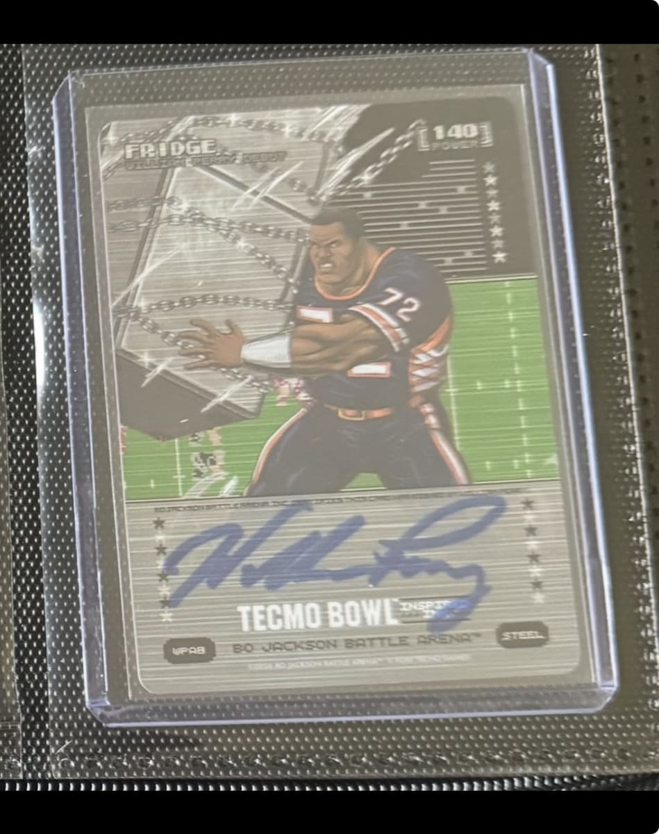 Fridge Metallic Auto