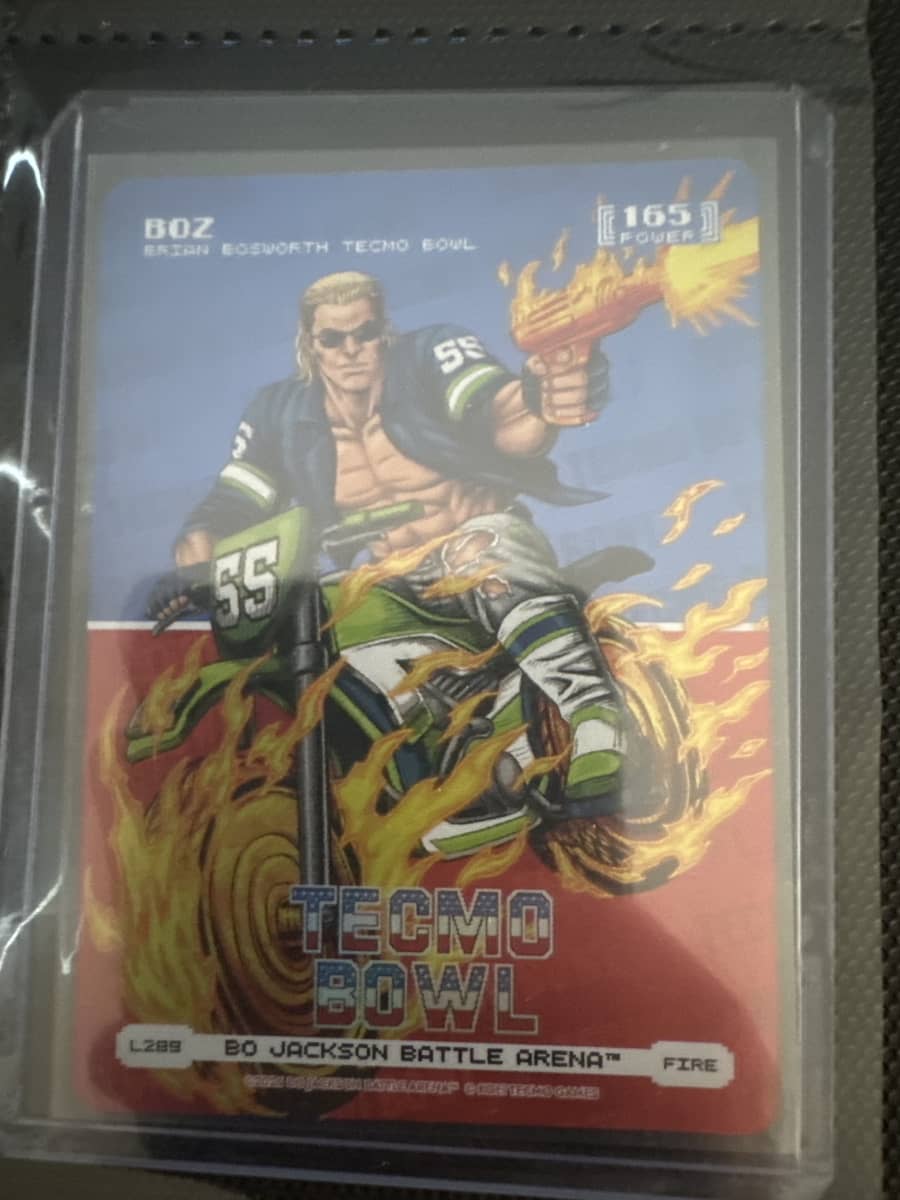 Boz Fire Logo