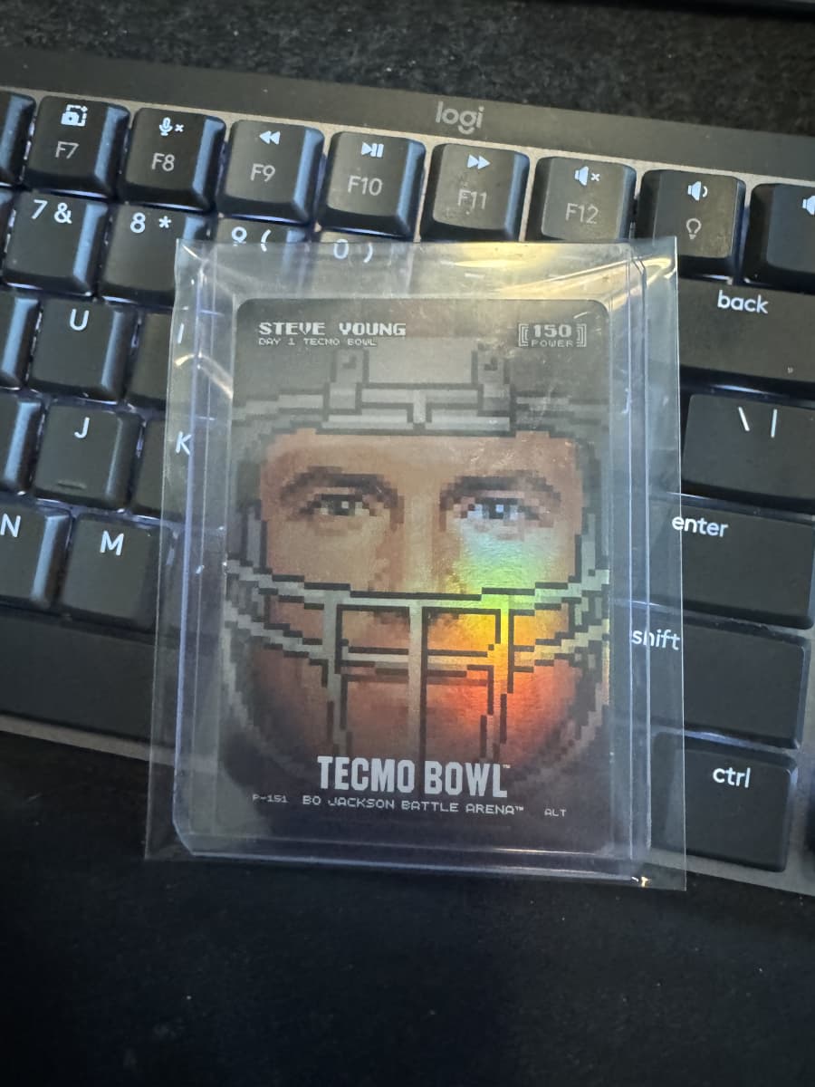 Steve Young Day 1 Helmet Alt