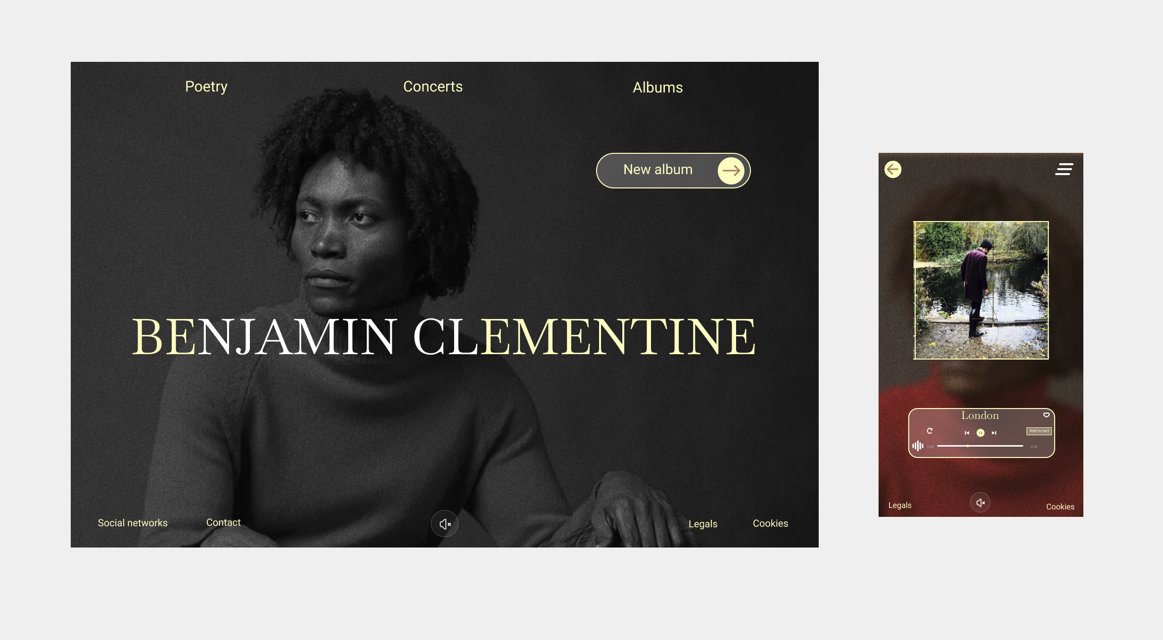 Preview image for Vinyl Music Platform