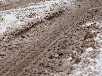 Поле свиного навоза обнаружено в Томском районе