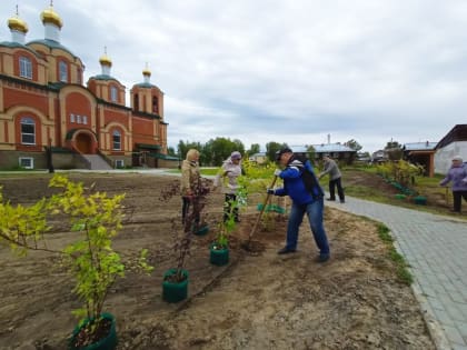 В дендропарке возле Вознесенского собора высадили  200 саженцев деревьев и кустарников