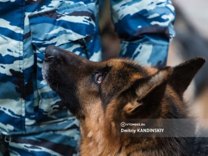 В Томске проверяют клинику после сообщения о минировании