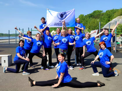 Ревизорская зарядка