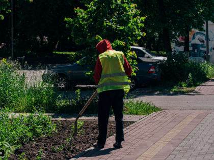 Летняя работа в Томской области не потребует особой квалификации от подростков