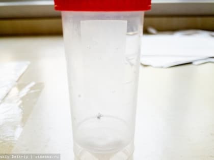 Представитель Томского НИМЦ принял участие в Международном конгрессе  по реконструктивной микрохирургии