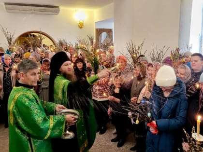 В храмах Колпашевской епархии молитвенно встретили праздник Входа Господня в Иерусалим