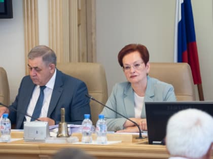 Депутаты об отчете губернатора