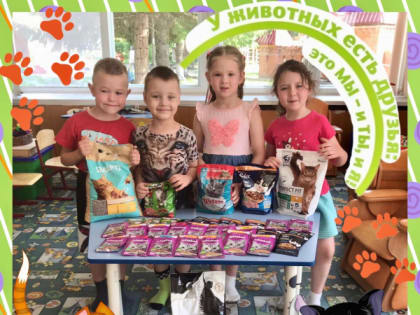 Продолжилась волонтерская социально-экологическая акция «Мы в ответе за тех кого приручили»