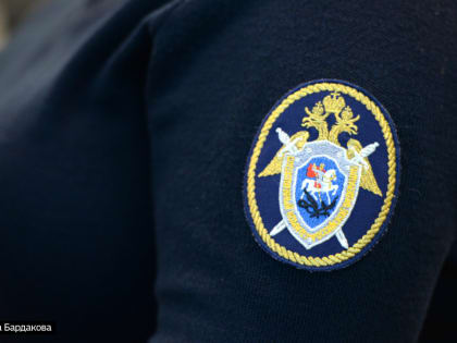 В селе Молчаново девочка из опекунской семьи попала в реанимацию с травмами