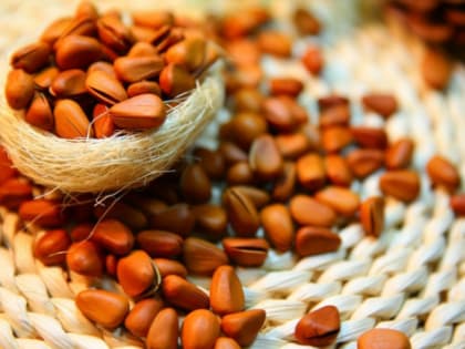 Томская область экспортировала почти 6 тыс. тонн кедрового ореха