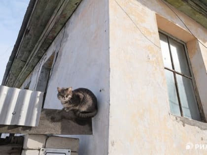 Небольшой дождь ожидается в пятницу в Томске