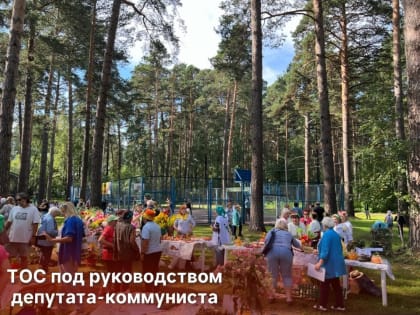 Сосновый бор: Природный уголок для томичей