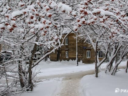 Потепление со снегом и ветром ожидает томичей в воскресенье