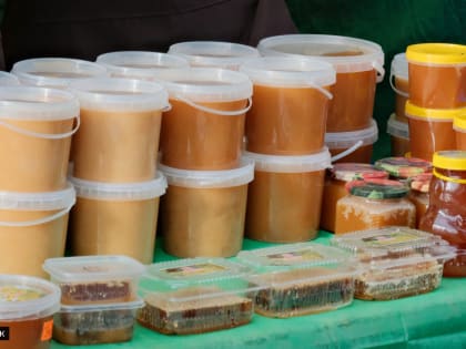 Томские пчеловоды могут освоить профессию медового сомелье