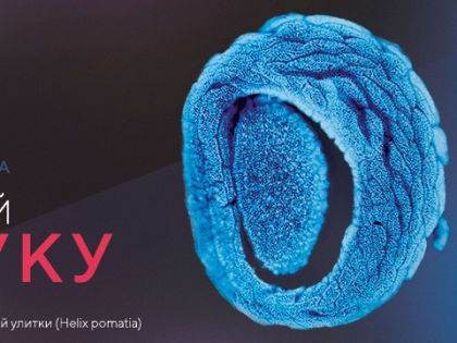 В Томске работает выставка фотоконкурса "Снимай науку!"