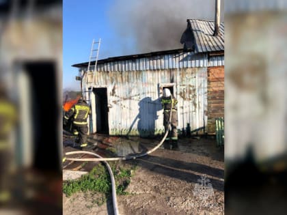 Погибли 2 поросенка и 25 кроликов при пожаре в Кожевниковском районе Томской области